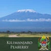 J. Martinez Tanzania Kilimanjaro Peaberry Coffee